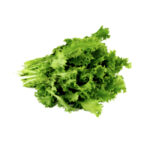 Σπόροι Αντιδιού Romanesca Da Taglio (Cristina)