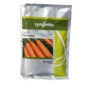 Σπόροι Καρότου Carrot Champion F1 Hybrid (Syngenta)