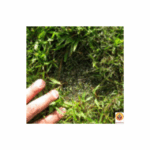 Ζεόλιθος ελληνικός θρακικός από 1 έως 2,5mm 25kg - Image 2